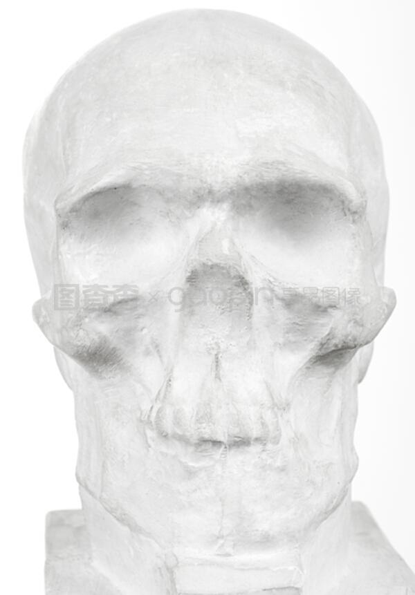 凝固的沉思 石膏头骨的艺术与哲思